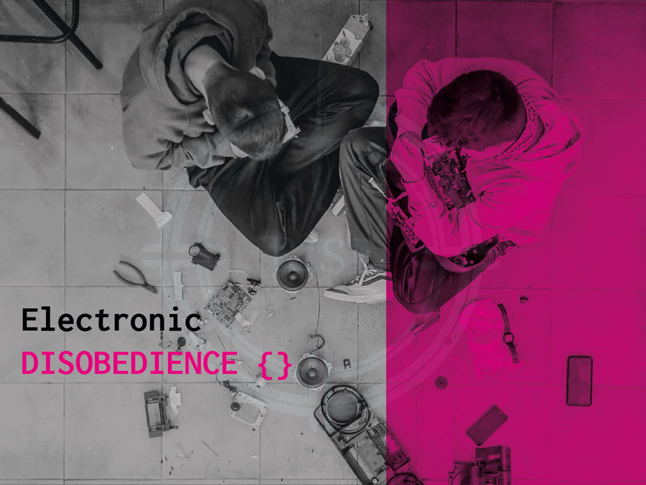 Electronic disobedience